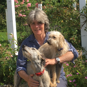 Gillian Galbraith's headshot