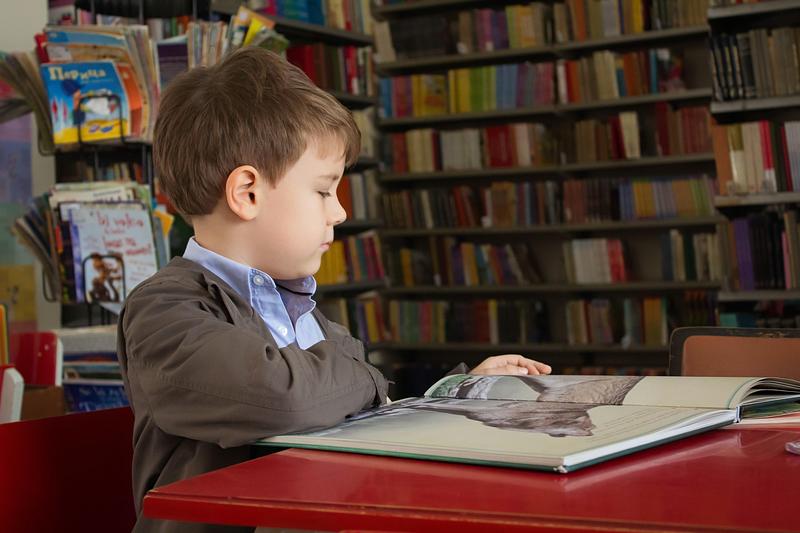 Child reading picture book in library