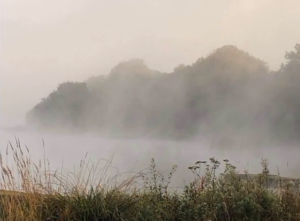 landscape covered by mist