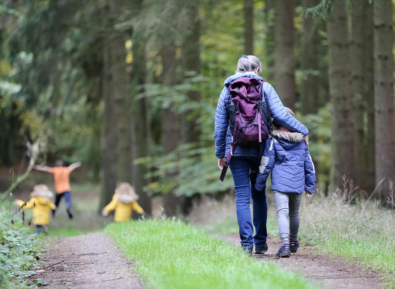 Children and adult walking along a path in the forest