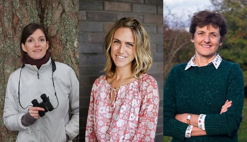 Collage of authors Jess French, Catherine Rayner and Isabella Tree