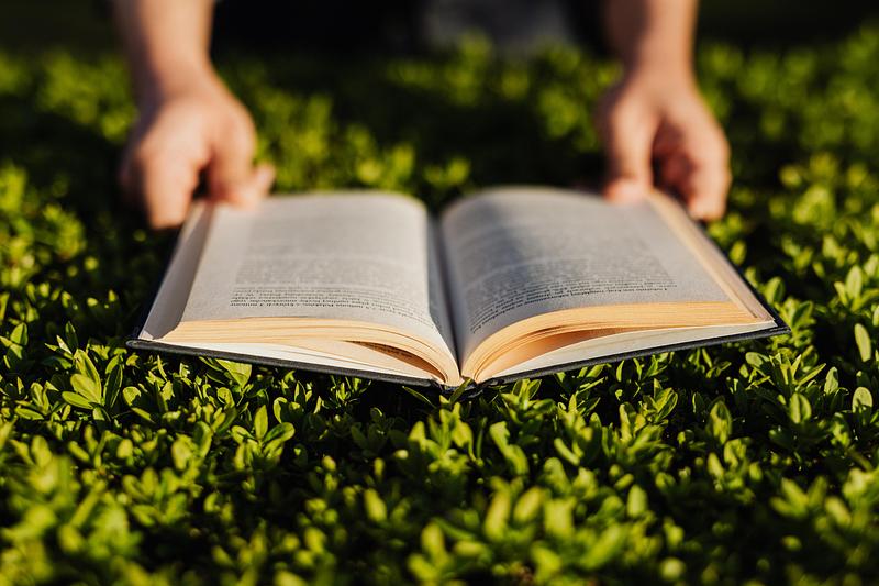 Book being read outdoors