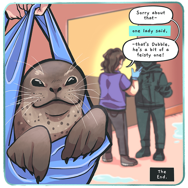 Comic illustration on frustrated seal swaddled in blankets with text bubbles that read 'Sorry about that' 'One lady said, - that's Dobble, he's a bit of a feisty one!' 'The End.'