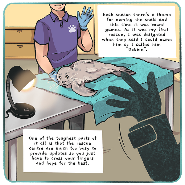 Comic illustration of seal pup on vet table and text boxes that read: 'Each season there's a theme for naming the seals and this time it was board games. As it was my first rescue, I was delighted when they said I could name him so I called him "Dobble". One of the toughest  parts of it all is that the rescue centre are much too busy to provide updates so you just have to cross your fingers and hope for the best.'