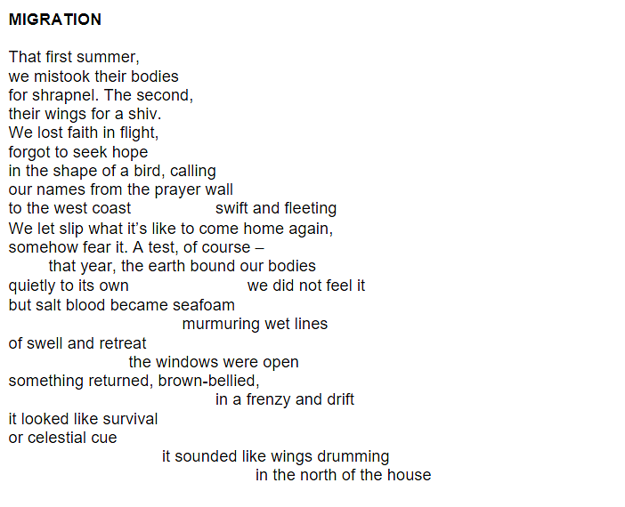 Poem 'Migration' that reads: That first summer,   we mistook their bodies   for shrapnel. The second,   their wings for a shiv.    We lost faith in flight,    forgot to seek hope   in the shape of a bird, calling    our names from the prayer wall   to the west coast		swift and fleeting   We let slip what it’s like to come home again,   somehow fear it. A test, of course –   that year, the earth bound our bodies   quietly to its own		       we did not feel it   but salt blood became seafoam   murmuring wet lines    of swell and retreat   the windows were open   something returned, brown-bellied,   in a frenzy and drift   it looked like survival   or celestial cue   it sounded like wings drumming   in the north of the house 