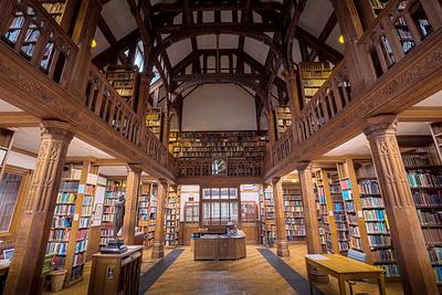 Old library with statues and shelves of books